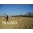 Kép 2/3 - Tetra® Vad 